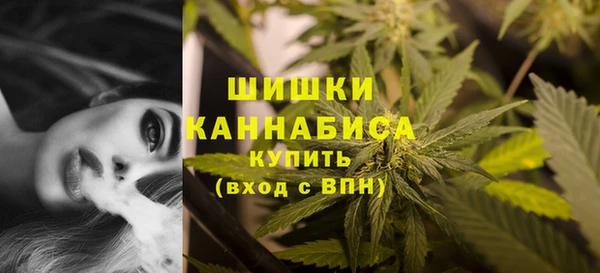 сатива Уссурийск