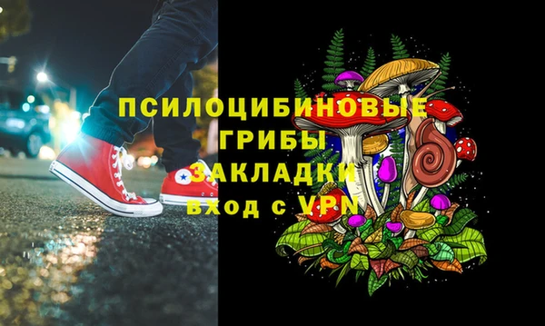 дурь Наволоки