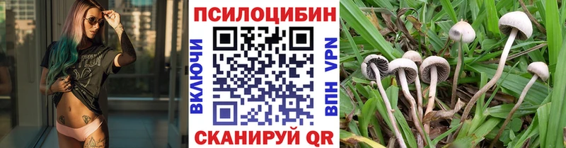 Галлюциногенные грибы мицелий  где можно купить наркотик  Тула 