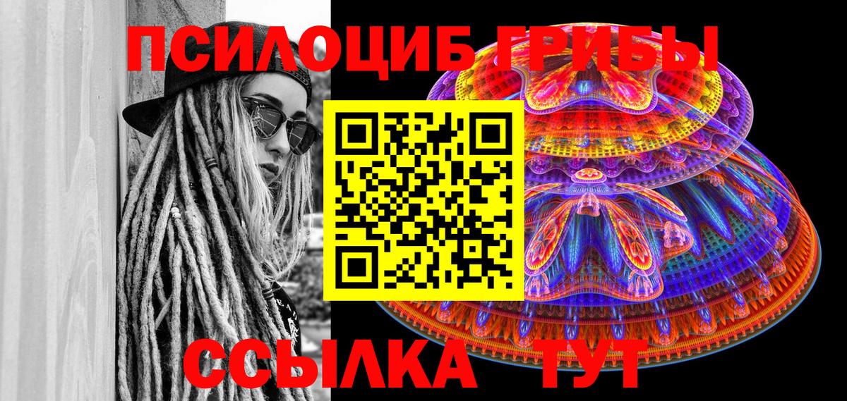 Тула  Псилоцибиновые грибы Psilocybine cubensis  Вход с VPN 