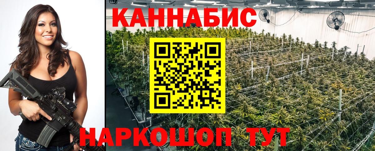 Канабис ГИДРОПОН  Бошки марихуана White Widow  Тула  Вход с VPN  Бошки Шишки LSD WEED 